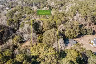 336 Drayton St, McClellanville, SC 29458 - Photo 1