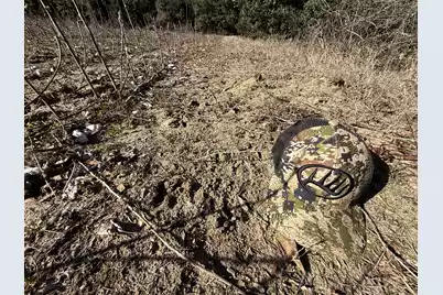 00 Barnwell St, Springfield, SC 29146 - Photo 22