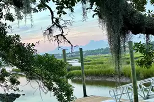 3803 Sawyers Island Dr Dr, Mount Pleasant, SC 29466 - Photo 74