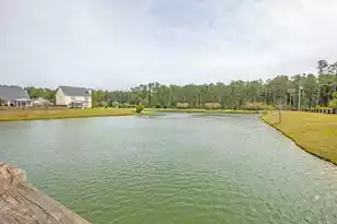 2010 Triple Crown Ln, Ridgeville, SC 29472 - Photo 30