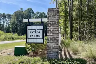 1023 Peridote Wy, Ladson, SC 29456 - Photo 46