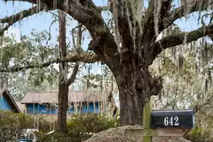 642 Williamson Dr, Mount Pleasant, SC 29464 - Photo 4