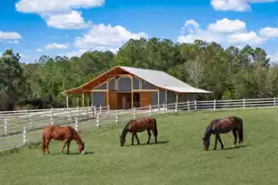 7356 Johnson Shortcut Rd, Conway, SC 29527 - Photo 4