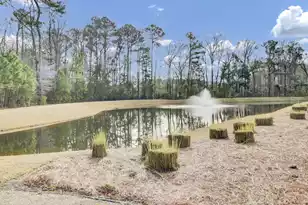 2011 Barn Swallow Rd, Summerville, SC 29483 - Photo 52