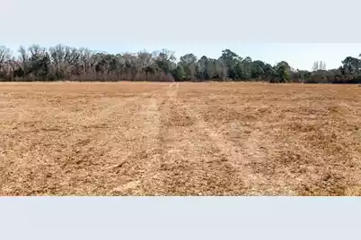 1824 Back Forty Road, Wadmalaw Island, SC 29487 - Photo 44