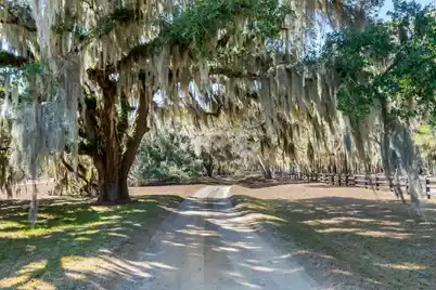 1824 Back Forty Road, Wadmalaw Island, SC 29487 - Photo 54