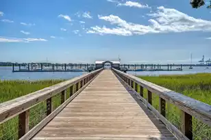 1636 Oak Leaf St, Daniel Island, SC 29492 - Photo 70