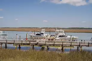 3701 Docksite Rd, Edisto Beach, SC 29438 - Photo 10