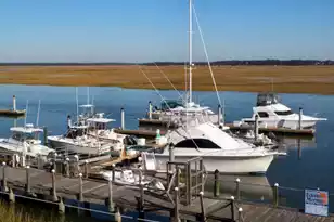 3701 Docksite Rd, Edisto Beach, SC 29438 - Photo 8