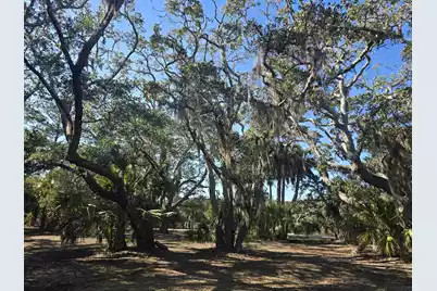 58 Painted Bunting Trail, Edisto Island, SC 29438 - Photo 16