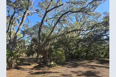 58 Painted Bunting Trail, Edisto Island, SC 29438 - Photo 10