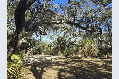 58 Painted Bunting Trail, Edisto Island, SC 29438 - Photo 2
