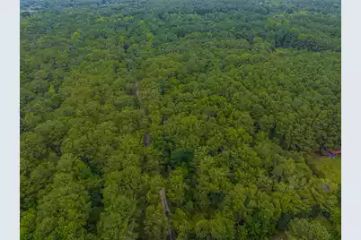 0 Geneva Shaw Lane, Wadmalaw Island, SC 29487 - Photo 6