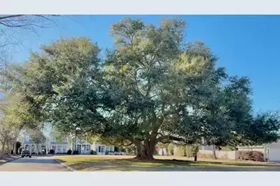 105 Hyacinth Street, Summerville, SC 29483 - Photo 28