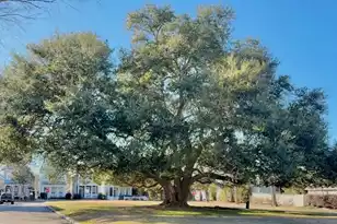 105 Hyacinth St, Summerville, SC 29483 - Photo 28