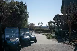 4105 Gnarled Oaks Ln, Johns Island, SC 29455 - Photo 68