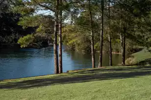 4105 Gnarled Oaks Ln, Johns Island, SC 29455 - Photo 10