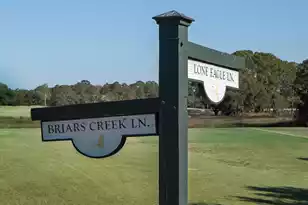 4105 Gnarled Oaks Ln, Johns Island, SC 29455 - Photo 70