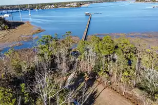 2314 Brackish Dr, Mount Pleasant, SC 29466 - Photo 68