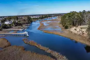 2314 Brackish Dr, Mount Pleasant, SC 29466 - Photo 38