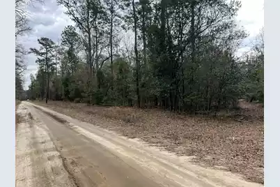 101 Driggers Lane, Walterboro, SC 29488 - Photo 12