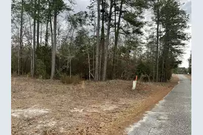 101 Driggers Lane, Walterboro, SC 29488 - Photo 16