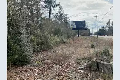 101 Driggers Lane, Walterboro, SC 29488 - Photo 2