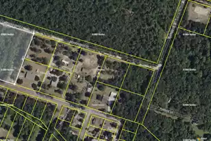 101 Driggers Ln, Walterboro, SC 29488 - Photo 1