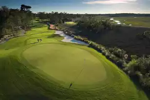 250 Island Park Dr, Charleston, SC 29492 - Photo 48