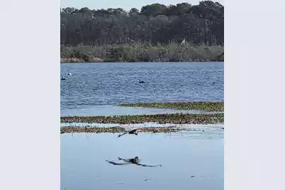 29 Monte Sano Drive, Hanahan, SC 29410 - Photo 68