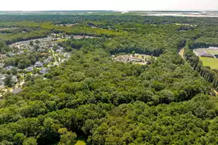 0 Darrell Creek Trail, Mount Pleasant, SC 29466 - Photo 20