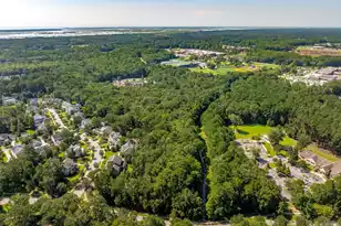 0 Darrell Creek Trail, Mount Pleasant, SC 29466 - Photo 18