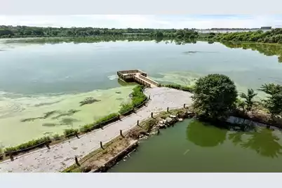 410 Tulip Poplar Drive, Moncks Corner, SC 29461 - Photo 16