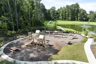 410 Tulip Poplar Dr, Moncks Corner, SC 29461 - Photo 14