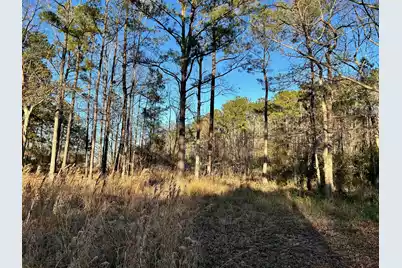 1420 Pinopolis Road, Moncks Corner, SC 29461 - Photo 10