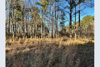 1420 Pinopolis Road, Moncks Corner, SC 29461 - Photo 12