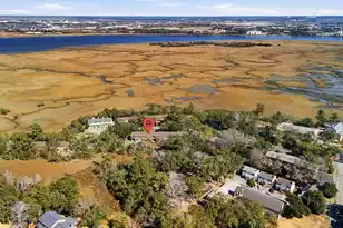 308 St Charles Ct, Charleston, SC 29407 - Photo 30