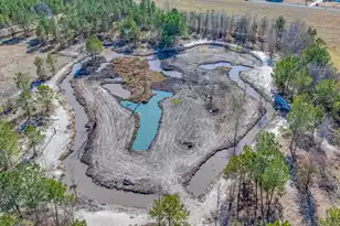 151 Grannys Ln, Saint George, SC 29477 - Photo 40