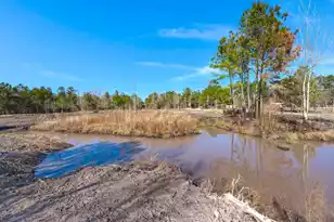 151 Grannys Ln, Saint George, SC 29477 - Photo 46