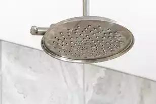 1647 Paradise Lake Dr, Mount Pleasant, SC 29464 - Photo 82