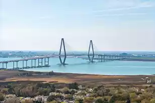 337 Spoonbill Ln, Mount Pleasant, SC 29464 - Photo 40