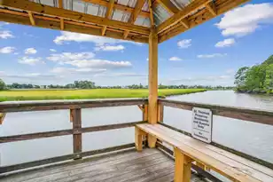 542 Amalie Farms Dr, Charleston, SC 29492 - Photo 46