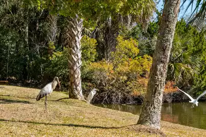 6 Sandwedge Lane, Isle Of Palms, SC 29451 - Photo 38
