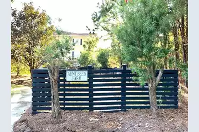 1709 Basildon Road, Mount Pleasant, SC 29466 - Photo 34