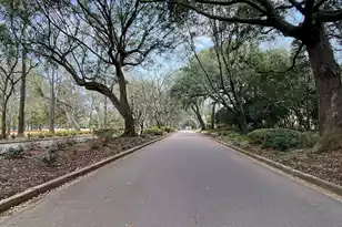 1100 Poplar Tree Dr, Mount Pleasant, SC 29464 - Photo 48