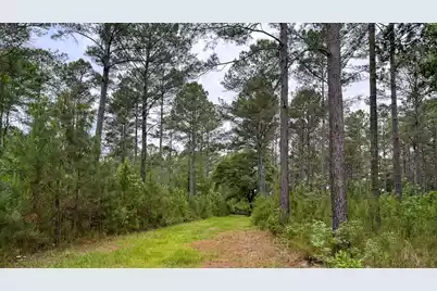 1034 Tuten, Round O, SC 29474 - Photo 68