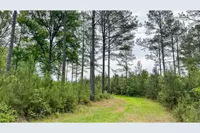 1034 Tuten, Round O, SC 29474 - Photo 64