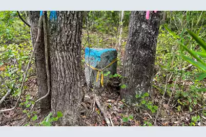 1034 Tuten, Round O, SC 29474 - Photo 38