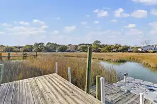 1318 Battle Ground Rd, Charleston, SC 29412 - Photo 42