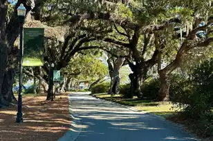 130 River Landing Dr, Charleston, SC 29492 - Photo 40